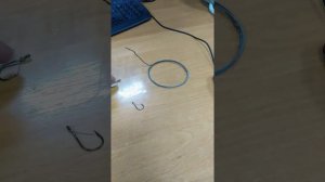 Как бороться с мелочью при ловле толстолобика.