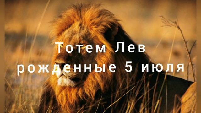 Тотем Лев рождённые 5 июля смотреть онлайн