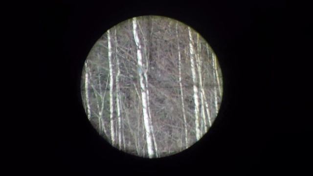 Crow hunting Кроухантинг. Охота на лабазе часть 2. смотреть онлайн