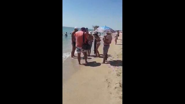 Затока цены на фото с животными 2017 смотреть онлайн