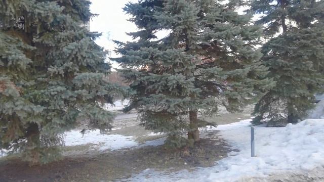 Жуковский, Лацкова ул, д 3 СНАРУЖИ 2 смотреть онлайн