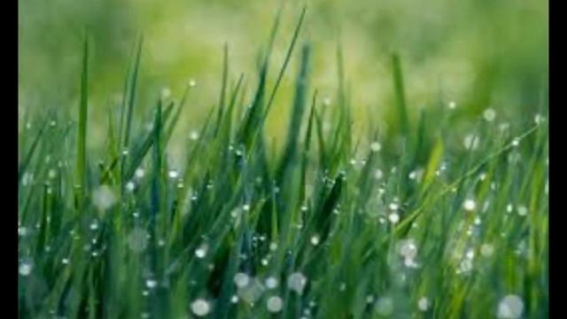 Осенний дождичек. Автор: В. Туриянский, кавер исп. : Т. Рехельс смотреть онлайн