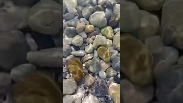 Е. Евтушенко «Я Разный». Стих читает - Ярослав Литвинов смотреть онлайн