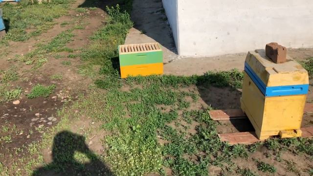 Работаем с пчёлами, о всём по маленьку... смотреть онлайн