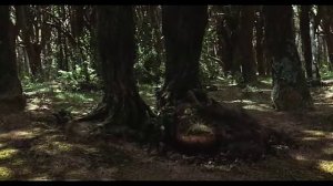 Мост в Терабитию. Трейлер