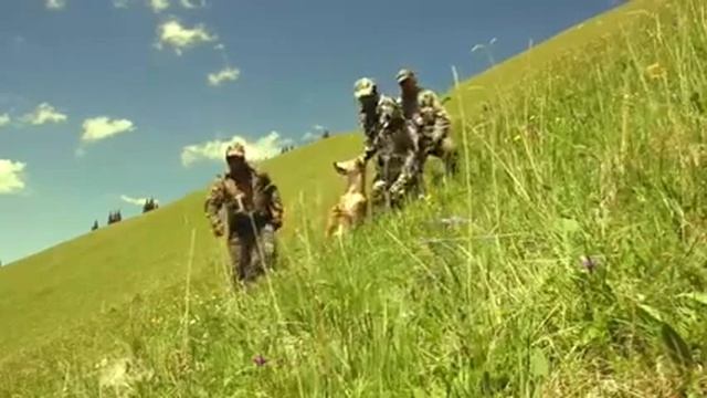 охота на волка в Казахстане 2022, Wolf Hunting In Kazakhstan