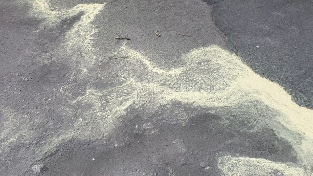 Желтые пятна на асфальте, что это и опасны ли они? смотреть онлайн