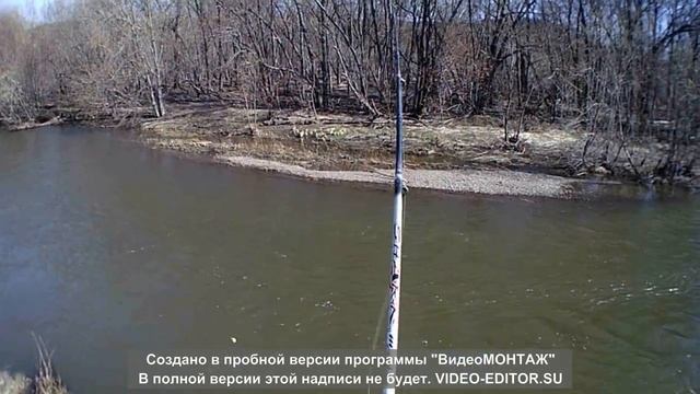 ловим Сахалинскую красноперку-угай из семейства карповых смотреть онлайн