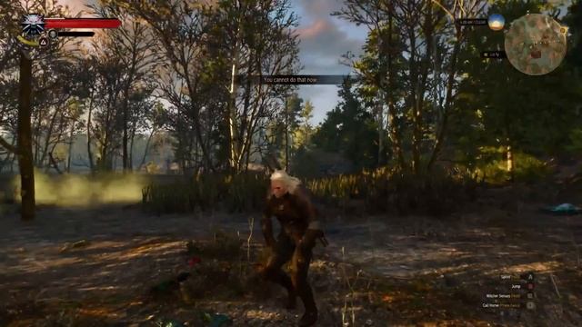 Геймплей The Witcher 3: Wild Hunt с Xbox One смотреть онлайн