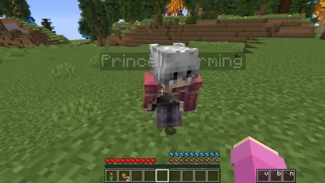 PEASANT To PRINCESS Story In Minecraft! смотреть онлайн