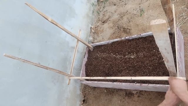 Technique of planting dragon fruit trees | How to Grow Clean Dragon Fruit Right At Home смотреть онлайн