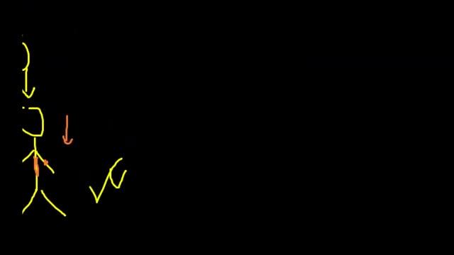 Генотип и Фенотип | Генетика