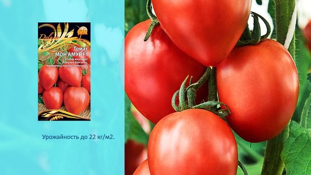 Как посадить переросшую рассаду | Сами с усами смотреть онлайн