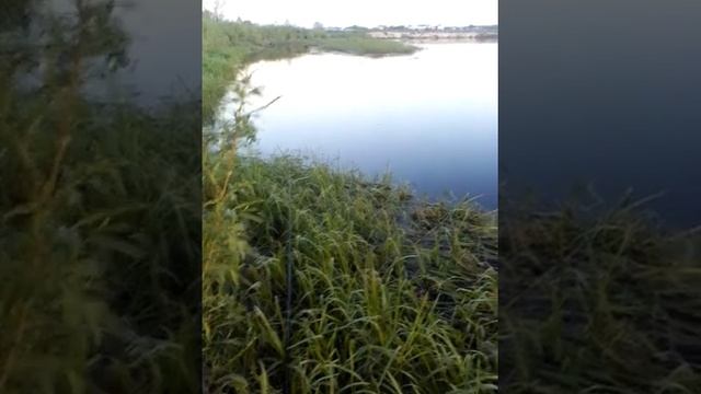 р.ИПУТЬ смотреть онлайн