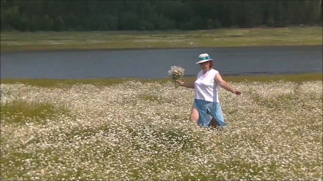 Ромашки .Исп.Светлана Пстыга. смотреть онлайн