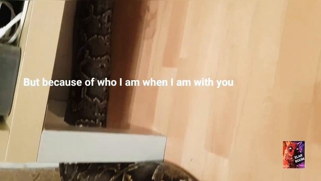 ГИГАНСКИЙ ПИТОН ЗАПОЛЗ В ДОМ И ЧУТЬ НЕ СЪЕЛ смотреть онлайн