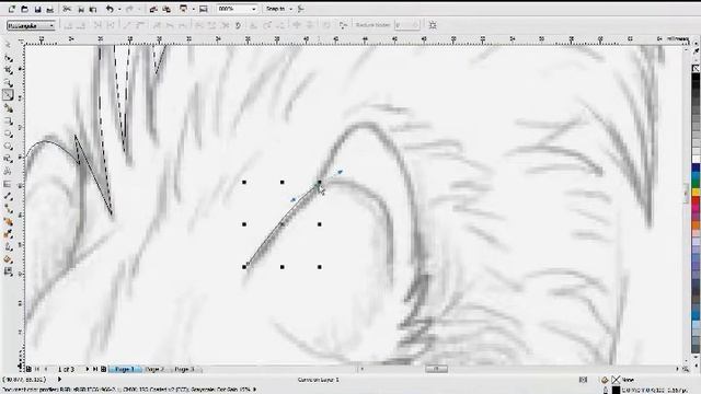 How to draw vector Animal In Corel Draw X5 смотреть онлайн
