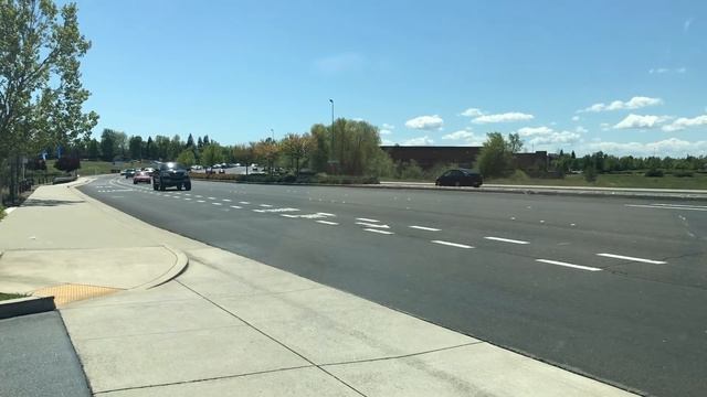 491 Я дома. Подарок Веронике. смотреть онлайн