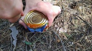КАК ПРАВИЛЬНО ОТКРЫВАТЬ КОНСЕРВУ СКЛАДНЫМ НОЖОМ