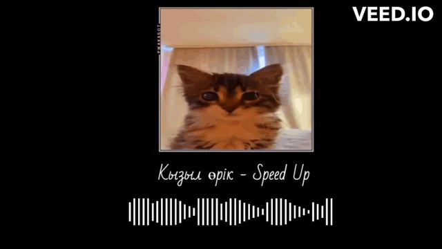 қызыл өрік - Speed Up смотреть онлайн