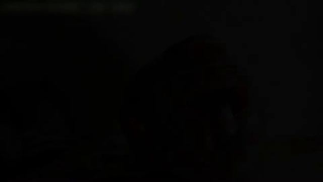 Сравнение видео с видеокамер и зеркалок 1. Цифровой шум смотреть онлайн