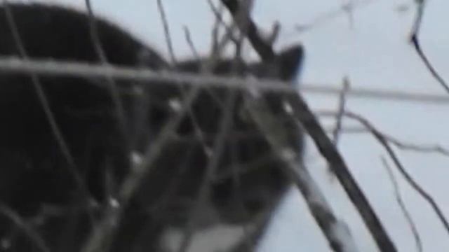 Мой фотоаппарат. На полном приближении смотреть онлайн