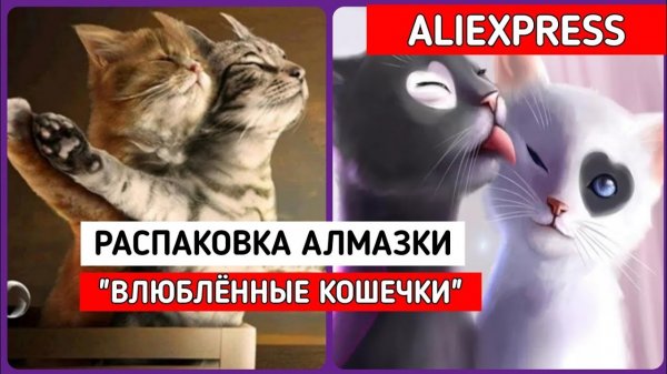 АЛМАЗНАЯ МОЗАИКА с КОШКАМИ с AliExpress / Elena Pero_va Life