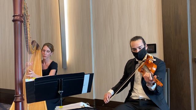 A Million Dreams Violin and Harp Duo ~ Columbus Musicians, LLC смотреть онлайн