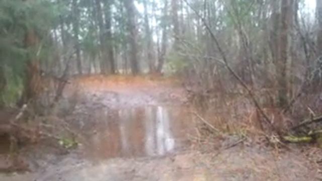 УАЗ патриот Электрогорск заброшенная дорога смотреть онлайн