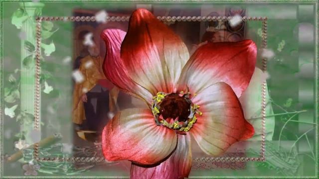 BELA & SOSO смотреть онлайн