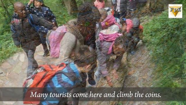 অদ্ভূত টাকার গাছ Treasury Tree at Scotland | Funny Peek Entertainment смотреть онлайн