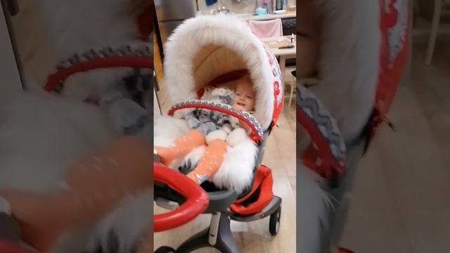 Stokke xplory v4. Любимая коляска#stokke Ребёнок не хочет вылазить с коляски#stokke#коляскамечта смотреть онлайн