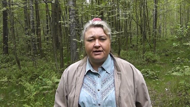 Летательные аппараты наших предков - забытый транспорт смотреть онлайн