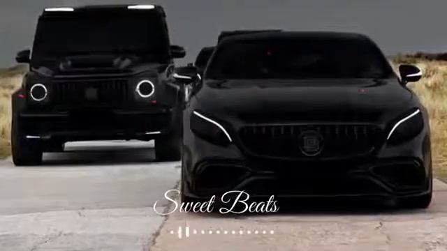 Delfin Mafia Music 🎶