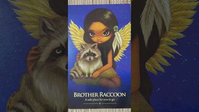 Brother Raccoon (4) ? Oracle of the Shapeshifters card meaning смотреть онлайн