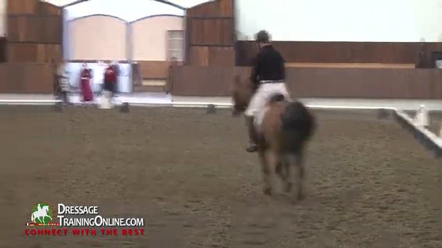 Dressage Training with McDonald and Foy Working with Para Equestrians смотреть онлайн