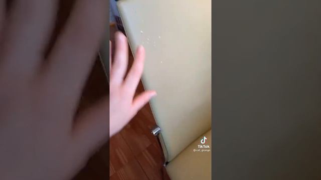 Кот- дизайнер 2!) Такой дизайнер есть практически в каждом доме!) Сам дизайнер величавый такой сиди смотреть онлайн