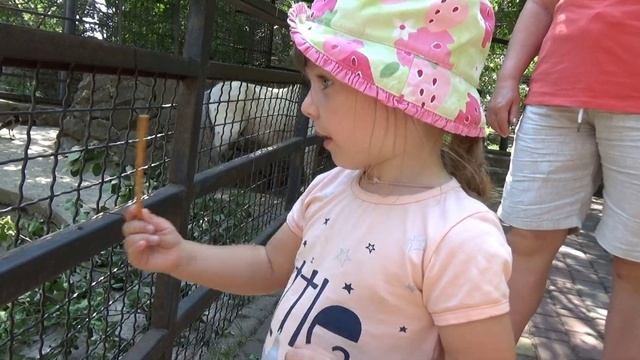 Yalta Zoo Ялта Зоопарк Сказка смотреть онлайн
