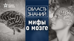 Почему сладкое помогает мозгу работать? Лекция биоинформатика Марии Осетровой