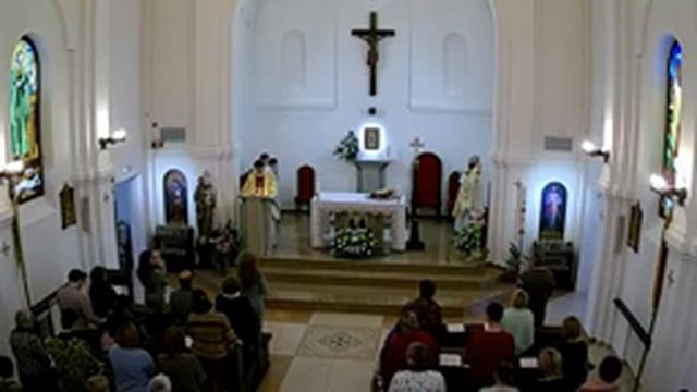 Католическая Святая Месса 24.11.2019 смотреть онлайн