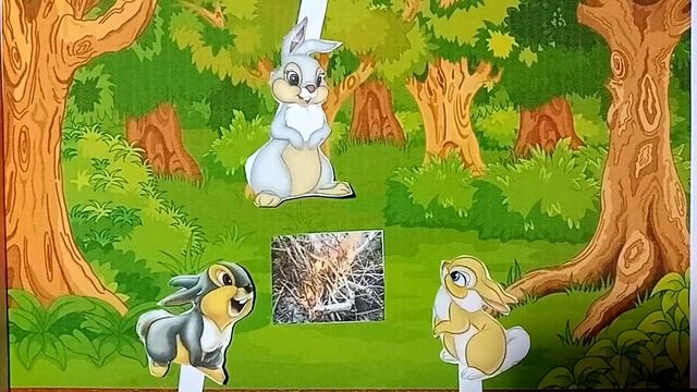 Пожар в  лесу