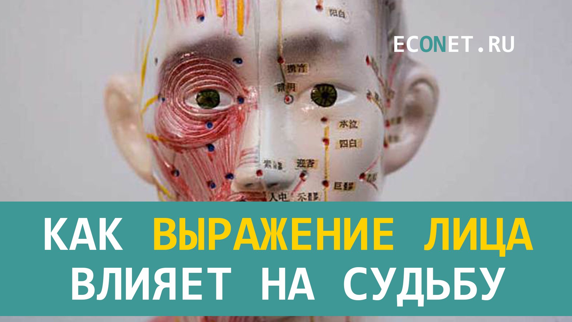 Как выражение лица влияет на судьбу