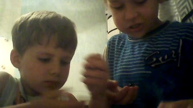 мокрая голова смотреть онлайн