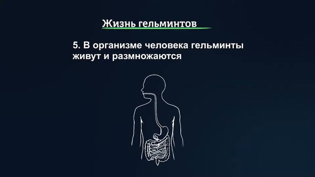 А4. Микробы. Почему важно мыть руки смотреть онлайн