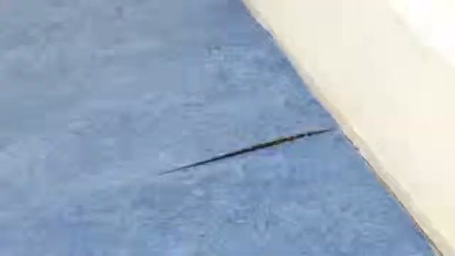 Укладка мармолеума в плитках смотреть онлайн