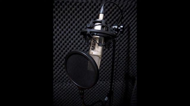 Rode NT 2 A Condenser Microphone смотреть онлайн