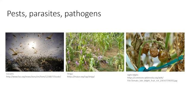 The Faustian Bargain of Agriculture: how insects began sustainable farming 50m years before humans смотреть онлайн