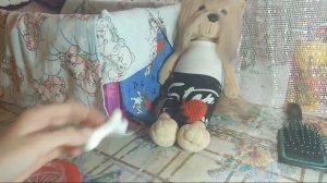 Уход За Лаки Доги Породы Йоркширский Терьер