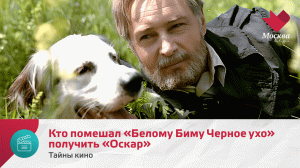 Кто помешал «Белому Биму Черное ухо» получить «Оскар» | Тайны кино