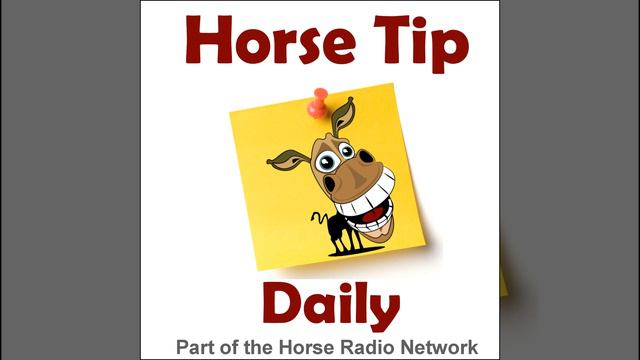 Horse Tip Daily #444 by FeedXL – TheHorse.com on Laminitis Part 3 смотреть онлайн